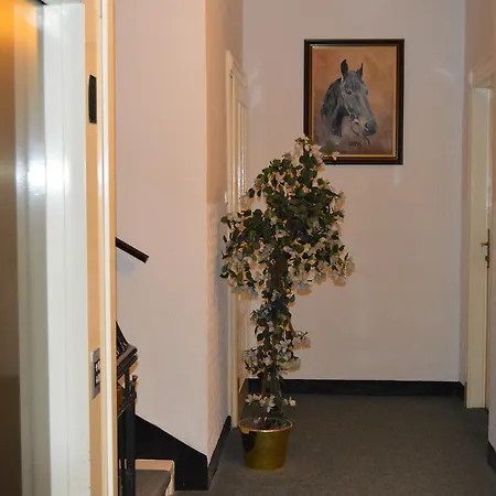Hotel Meran
